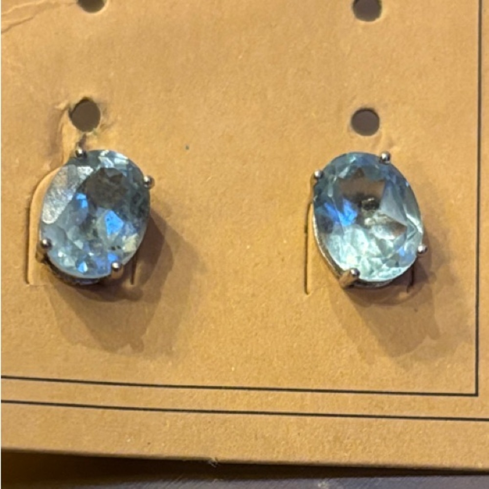 Topaz Blue Stone sterling silver Earrings